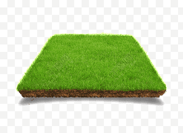 Hierba verde, Césped, Jardín, Césped artificial, Prado, Planta herbácea, Jardín de flores, Vivero png