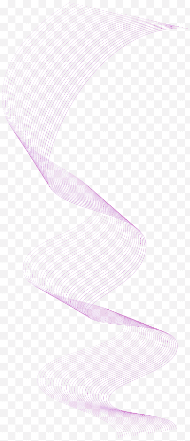 Lawenda, Muzeum Sztuki, niebieski, biały, różowy, fioletowy, fioletowy, liliowy png