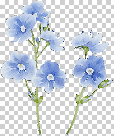 Blauwe aquarel bloemen, verf, natte inkt, wilde bloemen, t-shirt, bloemdessin, tuinrozen, bloemenmeisje png