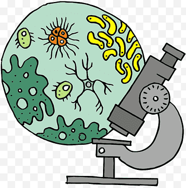 Bacterias, Microscopio, Mac Toys Microscope Set Microscope, Biología, Dibujos animados, Microscopía, Organismo unicelular, Ciencia png