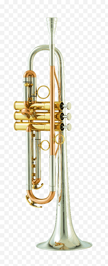 Instrumentos de metal, Trompeta, Saxhorn, Instrumentos musicales, Bombardino, Cuivresetboiscom, Amatidenak, Flugelhorn png
