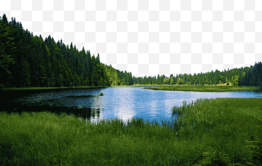 Dibujos animados de naturaleza, bosques de coníferas tropicales y subtropicales, bosque de coníferas templado, bosques de abetos, árbol, paisaje de monte, reserva natural, lago png