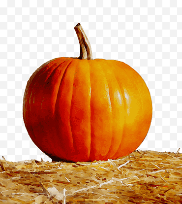 Invierno, Jackolantern, Calabaza, Calabaza, Calabaza de invierno, Talla, Mercancía, Naranja Sa png