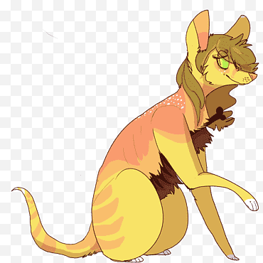 แมว, หนวด, การรับเลี้ยงบุตรบุญธรรม, ตา, สีเหลือง, ผู้ชม, การ์ตูน, จิงโจ้ png