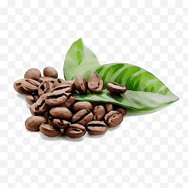 Montaña, Café, Café, Espresso, Té, Grano de café, Café orgánico, Café Arábica png