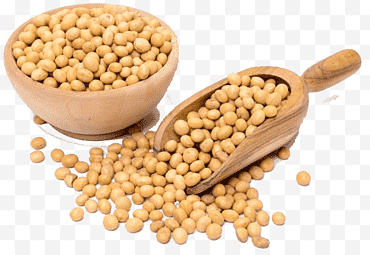 Vegetales, soja, alimentos orgánicos, soja genéticamente modificada, legumbres, harina de soja, aceite de soja, organismo genéticamente modificado png
