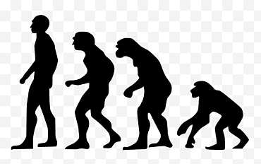 Gruppo di persone, evoluzione, evoluzione umana, adesivo murale, maglietta, vita, Charles Darwin, sagoma png