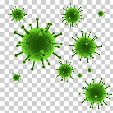 Puede verde, lata, virus informático, resolución de pantalla, resolución, organismo png