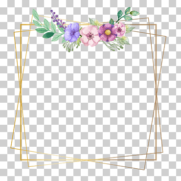 Marco De Fondo De Amor, Alá, Inshallah, Video, Instagram, Marco, Planta, Flor png