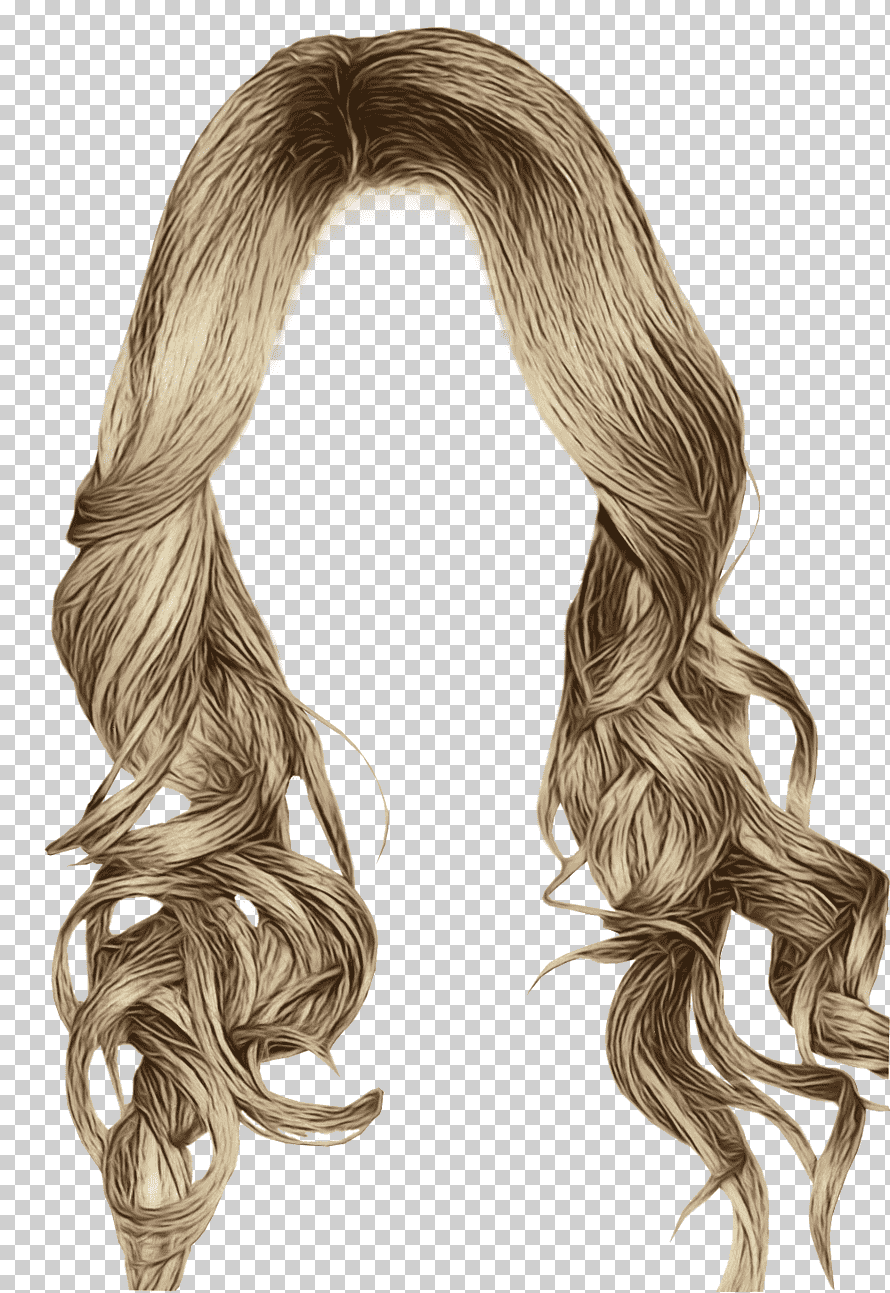 Hairstyle Picsart, Wig, Braid, Long Hair, Editing, Pigtail